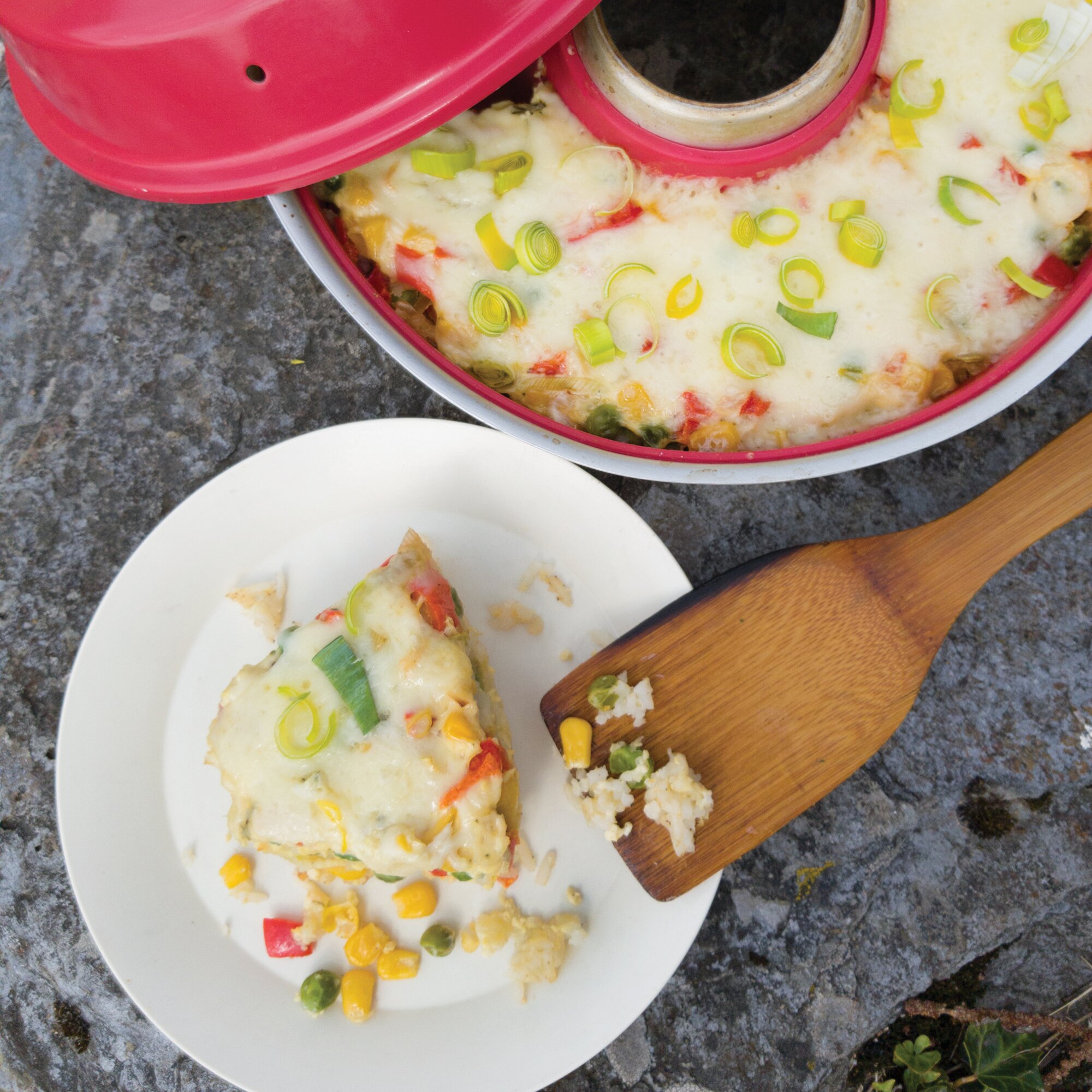 Omnia Auflauf, Quiche, Pizza & Co. – Przepisy na piekarnik Omnia – Książka kucharska
