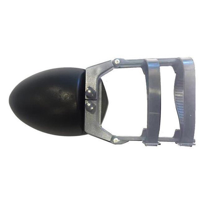 Brunner Lustrzana Głowa