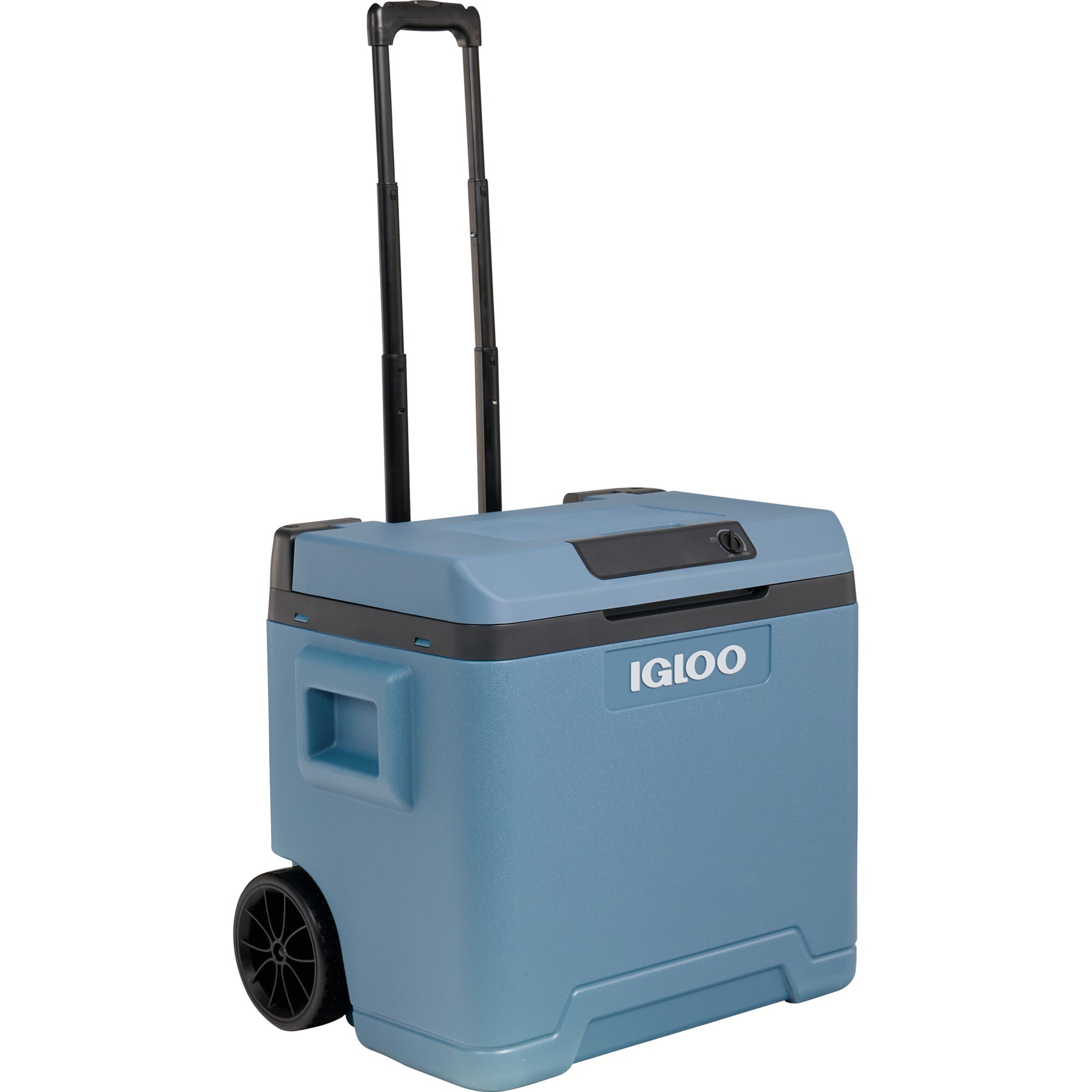 Igloo Igloo IE 42, 12/230 V