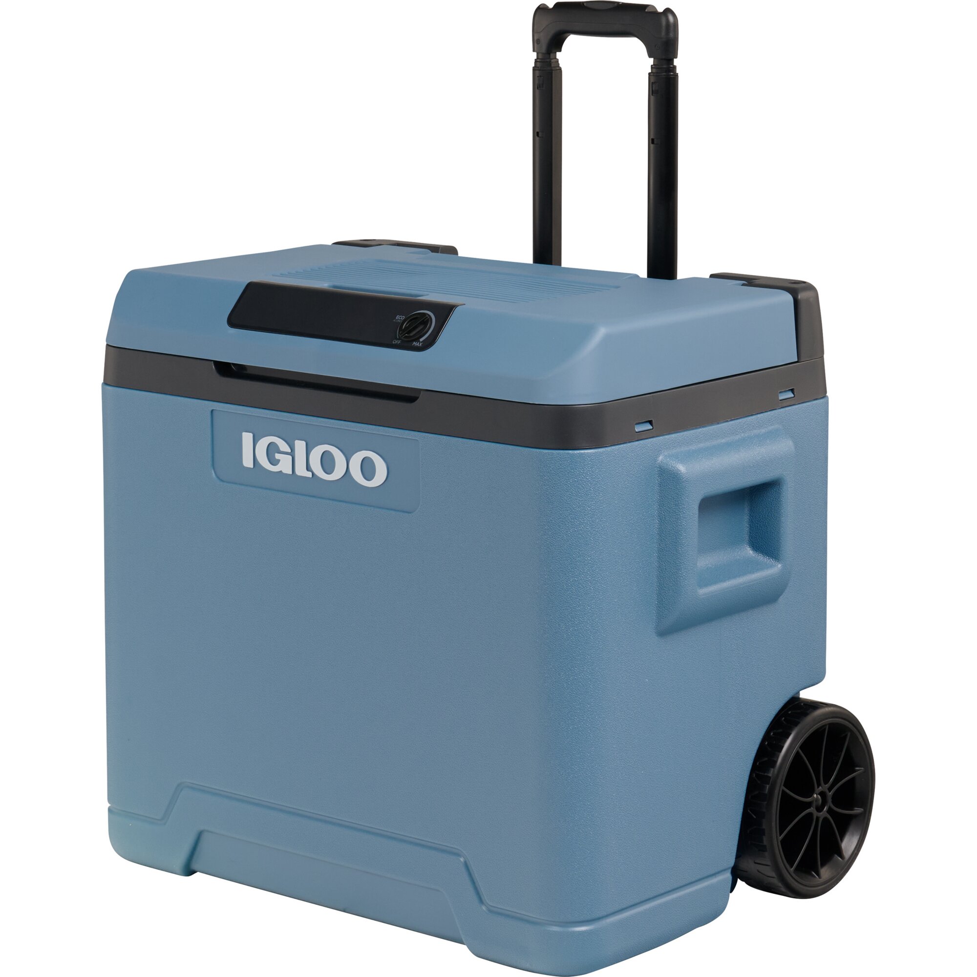 Igloo Igloo IE 42, 12/230 V