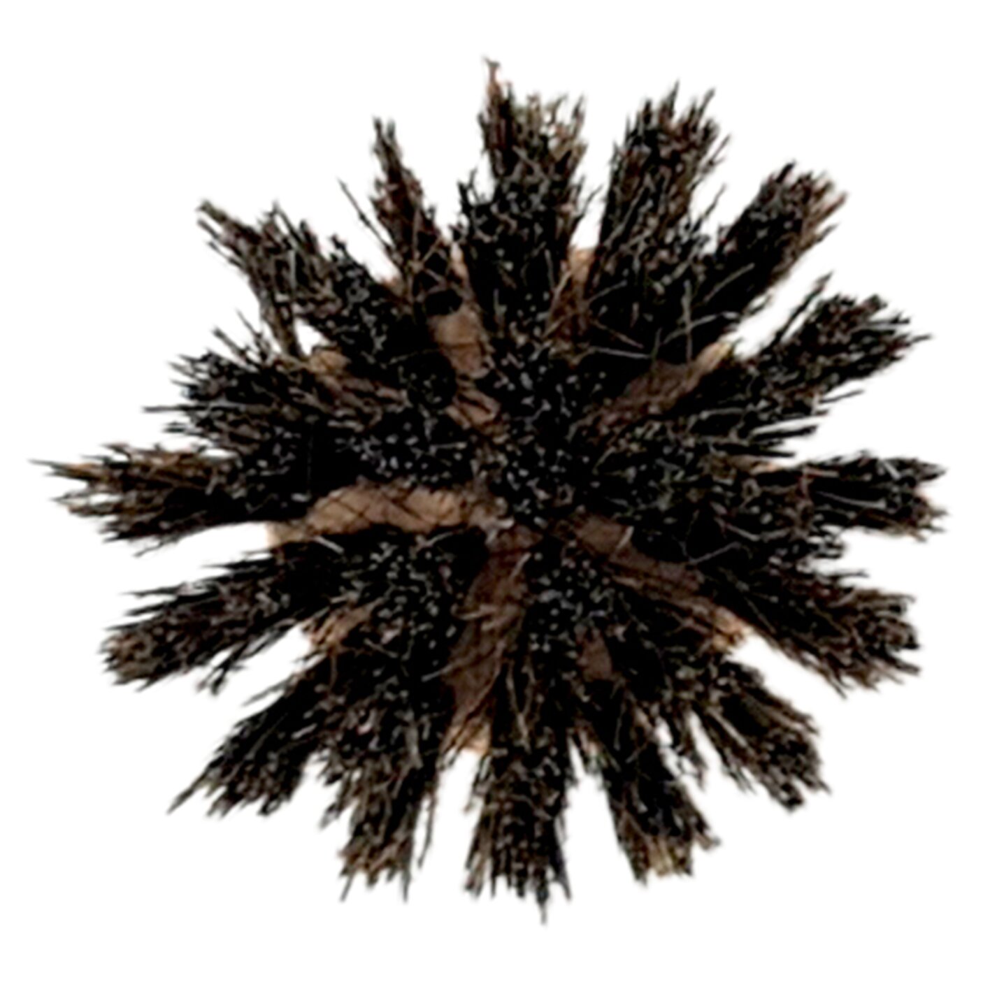 mikiGREEN Zapasowa główka szczotki do naczyń