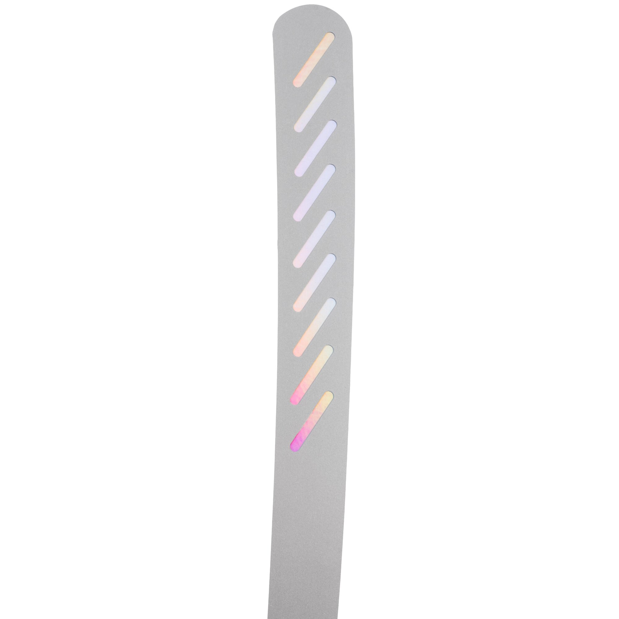 Brunner Paladyn z łapką na muchy