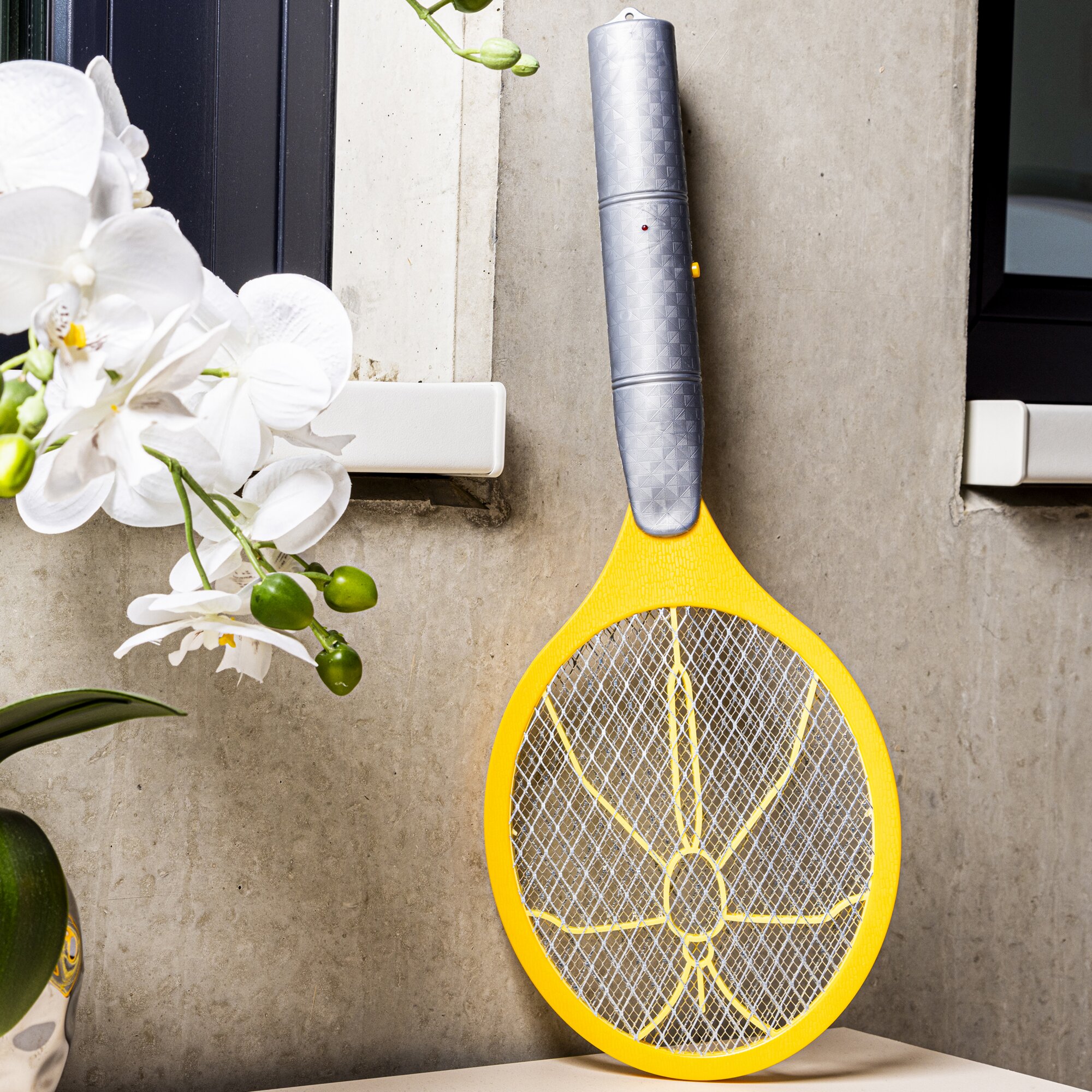 HI Haushalt International Łapacz much