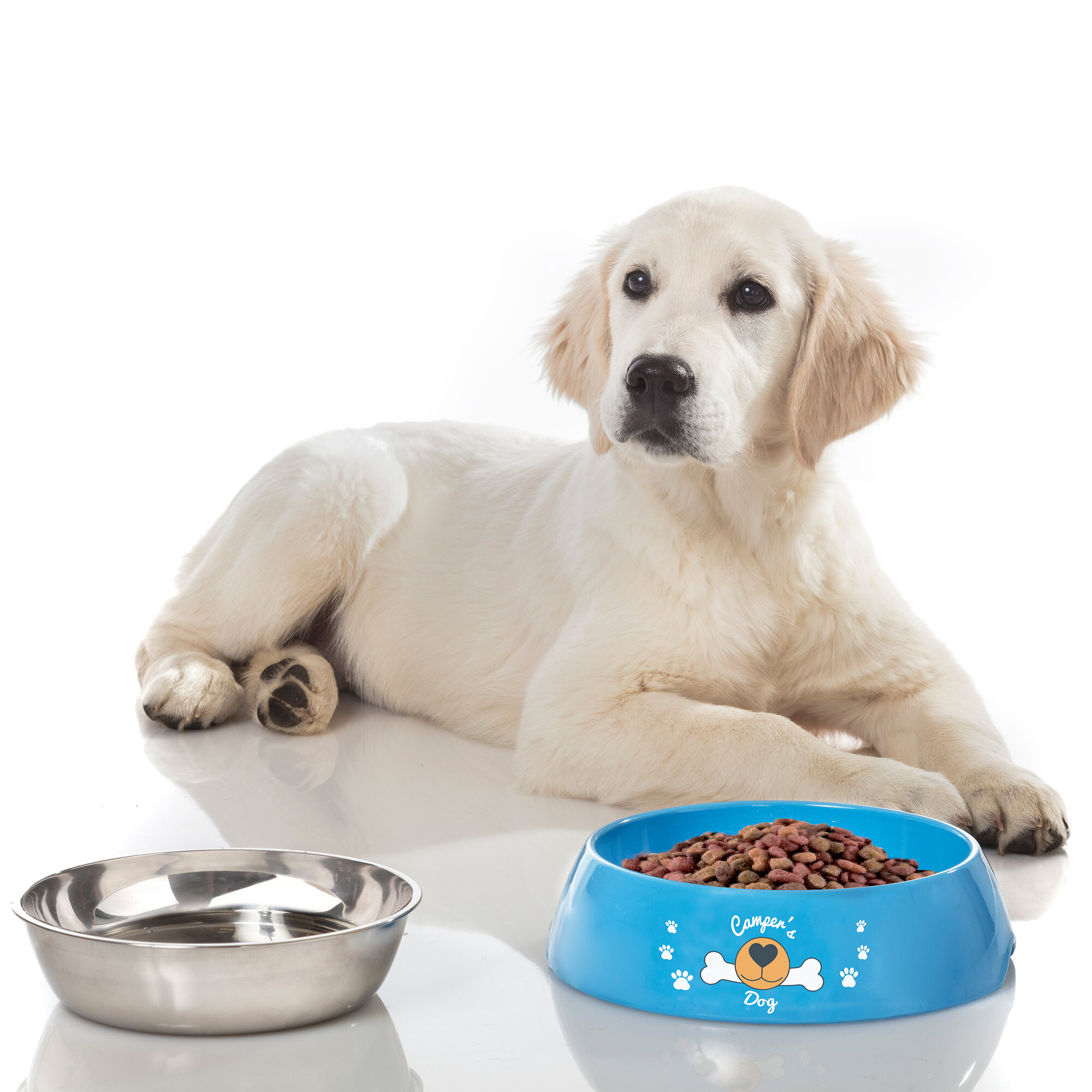 Brunner Miska dla psa jest głodna