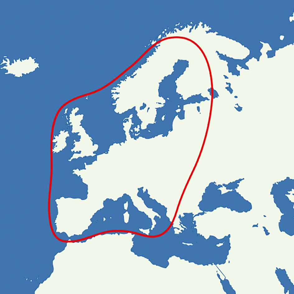 Crystop System satelitarny AutoSat Light S Cyfrowy pojedynczy, biały