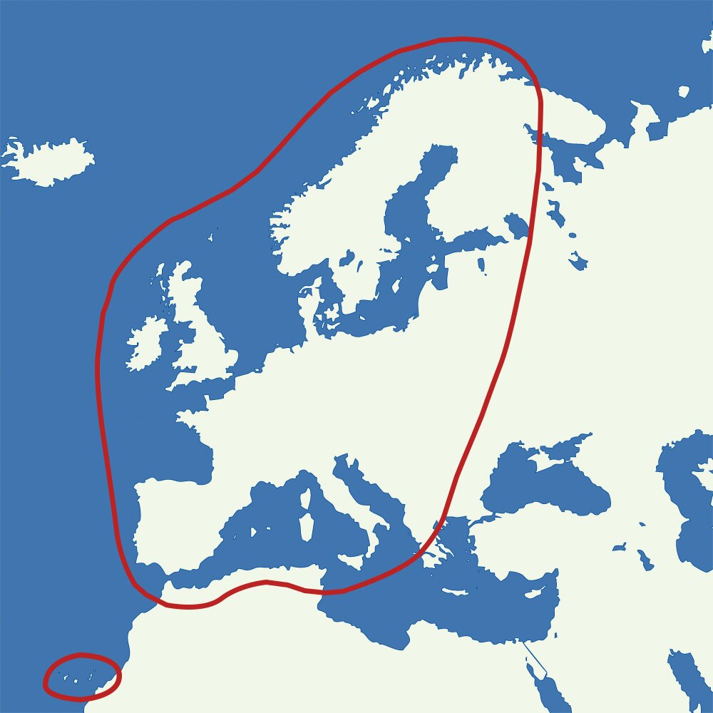 Crystop System satelitarny AutoSat 2S 85 Control, podwójny skos GPS, 85 cm